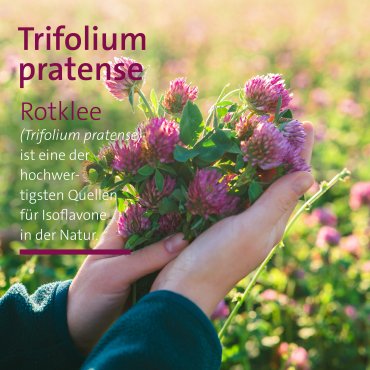 90 Kapseln