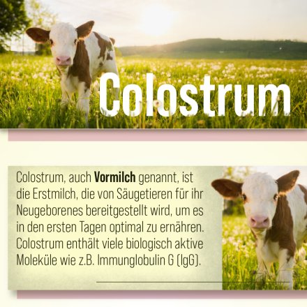 Colostrum-Kapseln 90 Kapseln