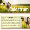 Colostrum-Kapseln 90 Kapseln