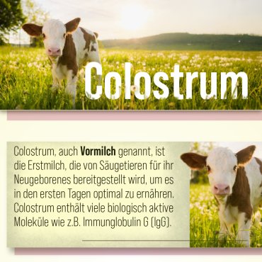Colostrum-Kapseln 90 Kapseln