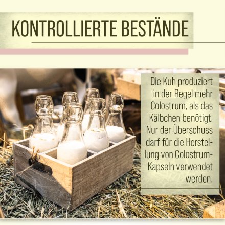 Colostrum-Kapseln 90 Kapseln