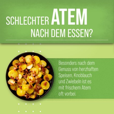 Atemfrisch-Kapseln 170 Kapseln