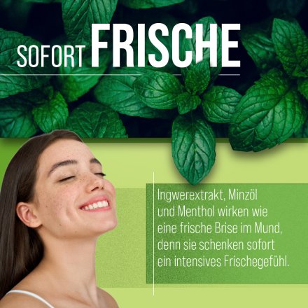 Atemfrisch-Kapseln 170 Kapseln