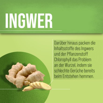 Atemfrisch-Kapseln 170 Kapseln