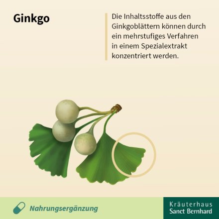 Ginkgo-Kapseln 100 mg 180 Kapseln