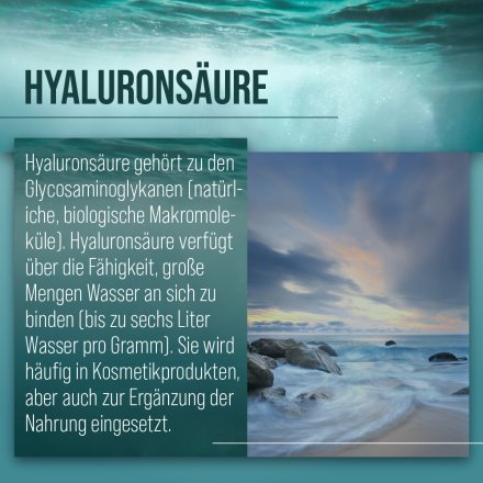 Hyaluronsäure-Kapseln 500 mg 90 Kapseln