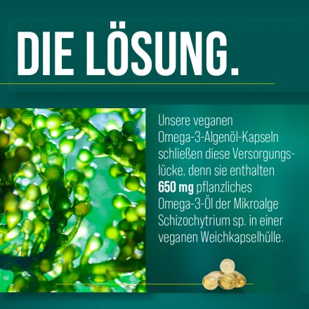 Omega-3-Algenöl-Kapseln 60 Kapseln