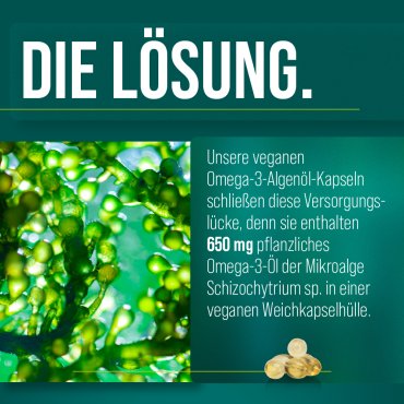 Omega-3-Algenöl-Kapseln 60 Kapseln