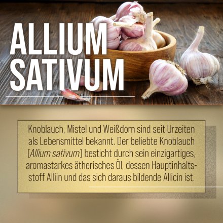 Knoblauch-Mistel-Weißdorn-Kapseln 480 Kapseln