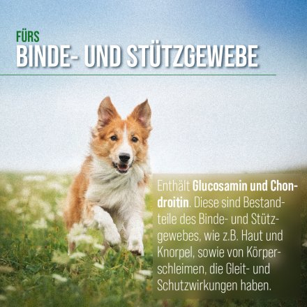 tierlieb Gelenkfreund Hunde-Kapseln 130 Kapseln