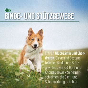 tierlieb Gelenkfreund Hunde-Kapseln 130 Kapseln