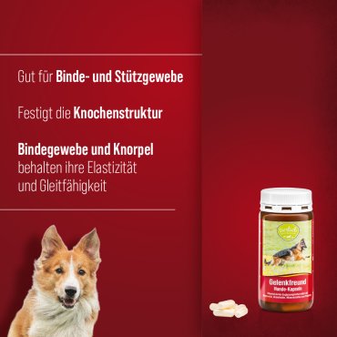 tierlieb Gelenkfreund Hunde-Kapseln 130 Kapseln