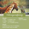tierlieb Grünlippmuschel-Konzentrat 100 % Einzelfuttermittel für Pferde, Hunde, Katzen 900 g