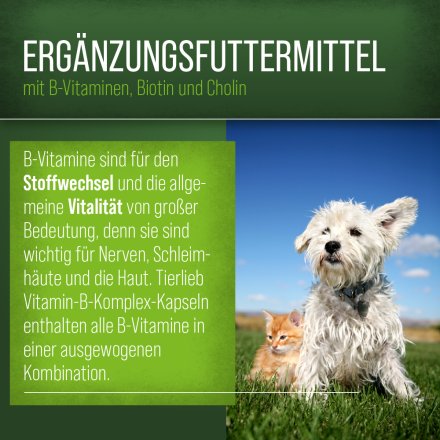 tierlieb Vitamin-B-Komplex für Hunde und Katzen 120 Kapseln