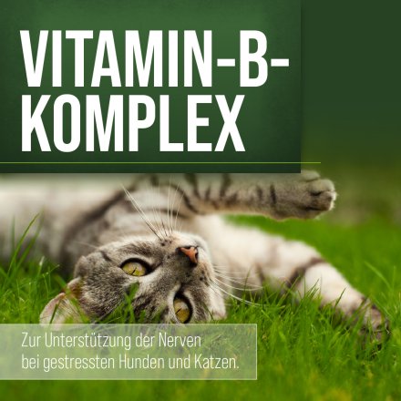 tierlieb Vitamin-B-Komplex für Hunde und Katzen 120 Kapseln