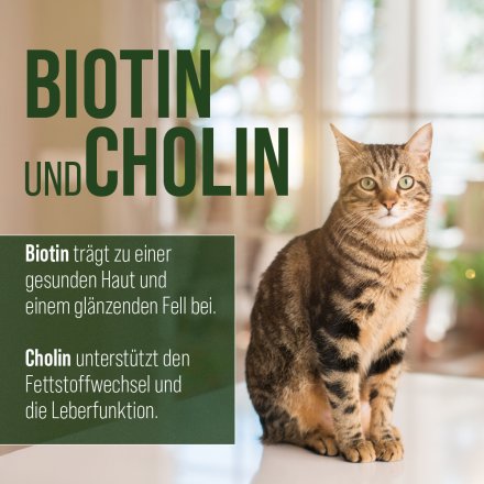 tierlieb Vitamin-B-Komplex für Hunde und Katzen 120 Kapseln