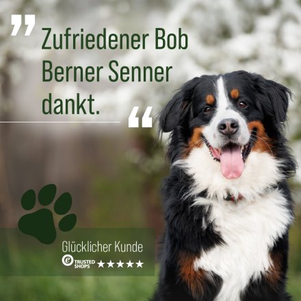 tierlieb Vitamin-B-Komplex für Hunde und Katzen 120 Kapseln