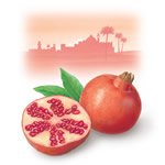 Pomegranate Skin Care
