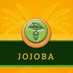 Jojoba Skin Care