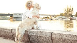 Grünlippmuschel für Hunde: Gelenkgesundheit auf natürlichem Weg stärken